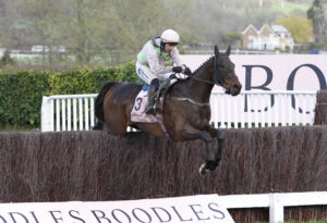 20J8347 Gaelic Warrior