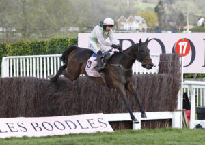 20J8348 Gaelic Warrior