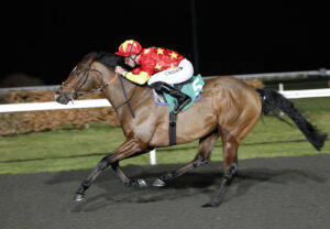 20J8464 Kingdom Come