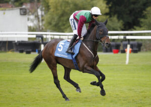 20J8496 Tamarind Bay