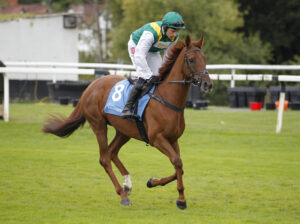 20J8508 Service Minimum