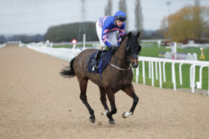 20J9031 King Of York