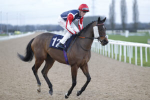 20J9080 Pearly Squirrel