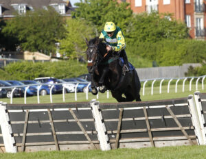 20J9091 Dixie Cowboy