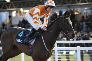 20J9172 Knight Templar