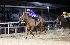 20J9534 Down To The Kid