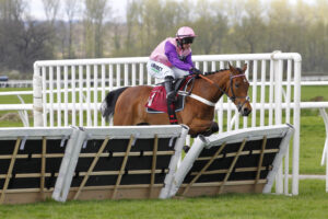 78F0194 Planters Punch