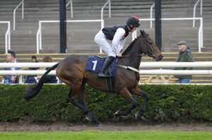 78F1851 Aj’s Diamond