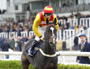 78F4100 Crystal Days