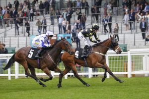 78F7279 Buccabay [left]