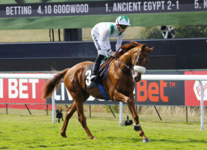 78F8851 Green Falcon