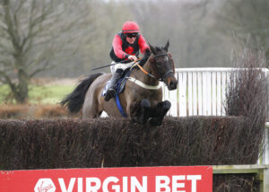 78F9516 Prairie Wolf