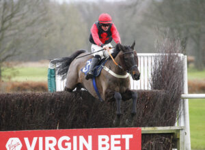 78F9517 Prairie Wolf