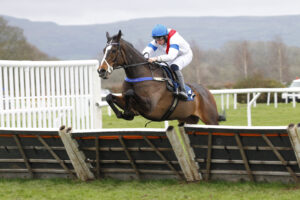 78F9687 Thank You Blue