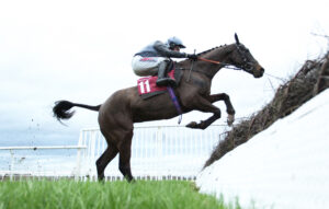 BK1A3087 Planned Paradise