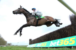 BK1A3248 Protektorat