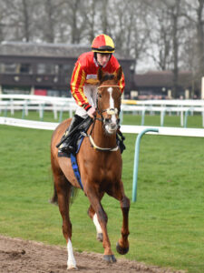 DSC 0003 Ruby Island