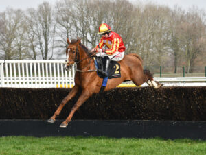 DSC 0014 Ruby Island