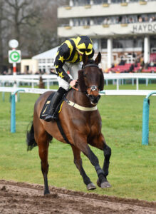 DSC 0019 Bridge Court