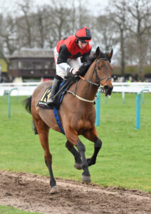 DSC 0253 Jupiter Des Mottes