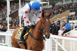 FU0E3720 Maestro Conti