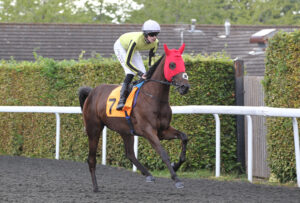 FU0E3830 Moment Of Light