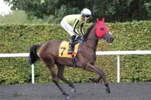 FU0E3833 Moment Of Light