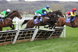 FU0E6218 Old Park Star