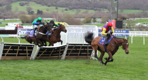 FU0E6245 Old Park Star