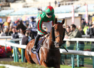 FU0E7216 Terries Royale