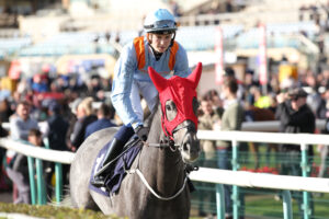 FU0E7227 Flying Fletcher