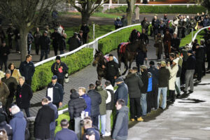 FU0E8141 Constitution Hill