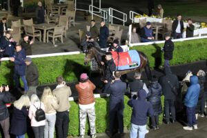 FU0E8146 Constitution Hill