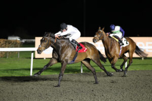 FU0E8250 Constitution Hill