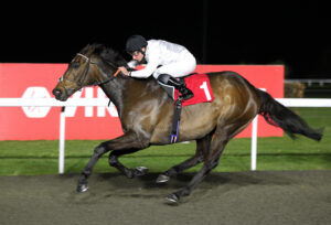 FU0E8257 Constitution Hill