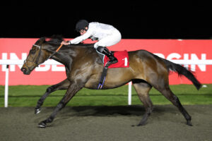 FU0E8258 Constitution Hill