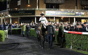 FU0E8268 Constitution Hill