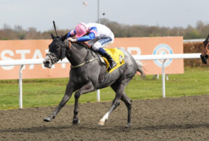 FU0E8845 Sizzling Seixas