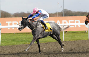 FU0E8846 Sizzling Seixas