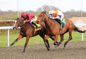 FU0E8994 Art Gallery