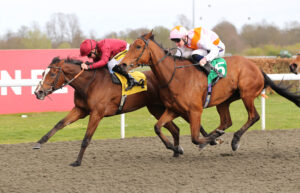 FU0E8998 Art Gallery