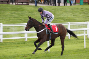 FU0E9338 Thewoodcorner