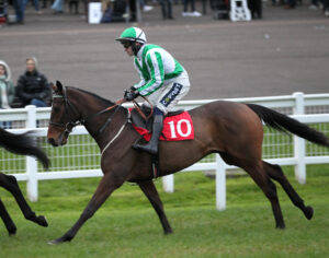 FU0E9528 Knight Templar