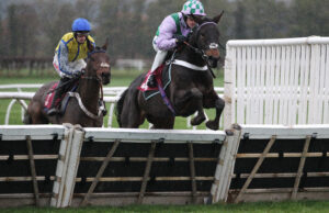 FV1E2518 Fresh As A Daisy