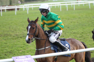 FV1E4660 Davy Crockett