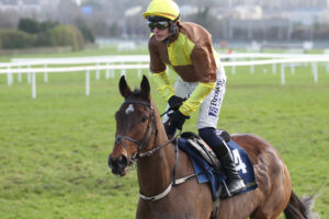 FV1E4678 King Rasko Grey