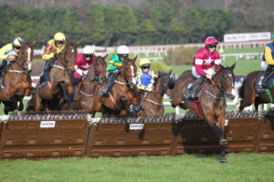 FV1E4689 Ballyfad   King Rasko Grey   Davy Crockett