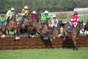 FV1E4690 Ballyfad   King Rasko Grey  Davy Crockett