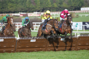 FV1E4708 King Rasko Grey