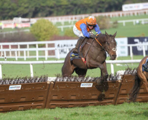 FV1E4732 Mister Pessimistic